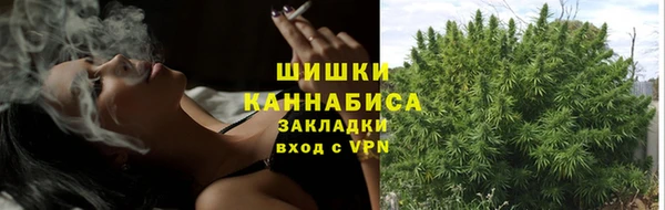 PSILOCYBIN Кинешма