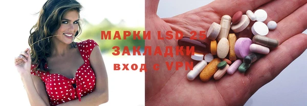 прущие грибы Киренск
