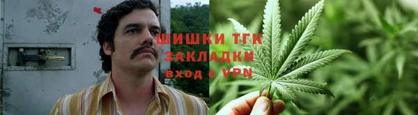 прущие грибы Киренск