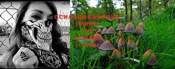PSILOCYBIN Кинешма