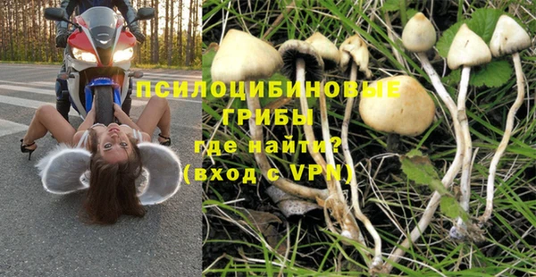 прущие грибы Киренск