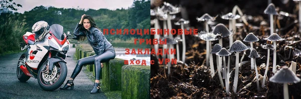 PSILOCYBIN Кинешма