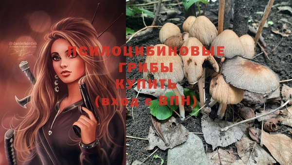 PSILOCYBIN Кинешма