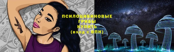 СК Киреевск