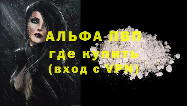 прущие грибы Киренск