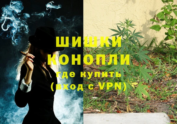 прущие грибы Киренск