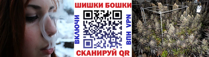 Купить закладки  Киселёвск  Конопля планчик 